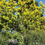 Rez-de-chaussee Dans Grand Jardin Provencal, A La Tatiana Апартаменты *